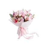 Pretty Pink Rose